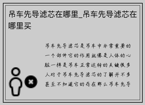 吊车先导滤芯在哪里_吊车先导滤芯在哪里买